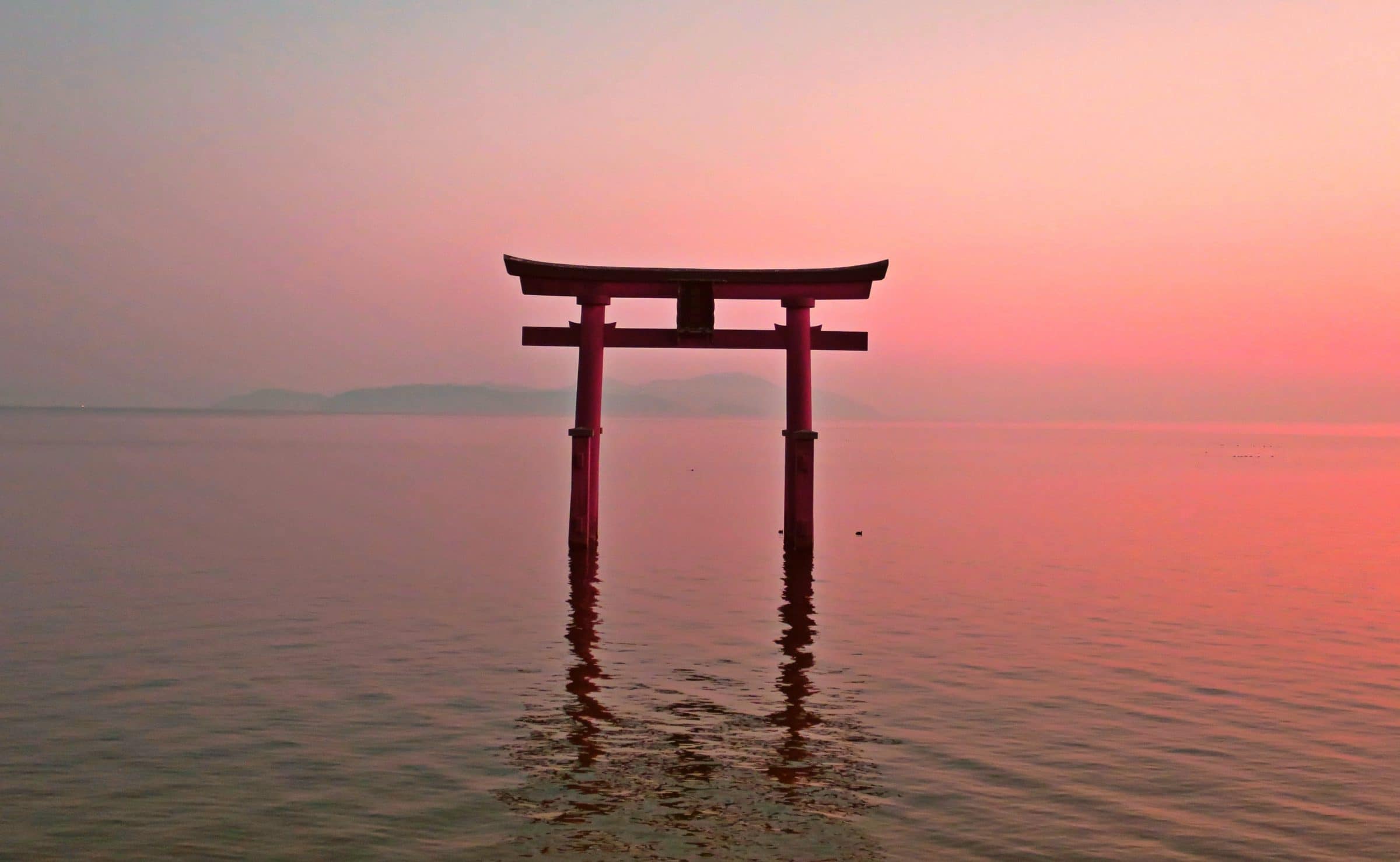 【滋賀景點】近江琵琶湖：白鬚神社！湖中鳥居路線交通總整理