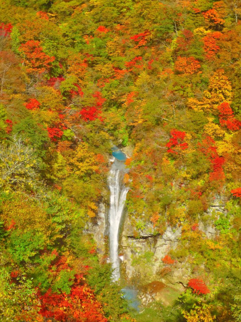 栃木那須｜平成之森公園秋季絕景「駒止之瀧」青藍白涓瀑布漸層楓葉