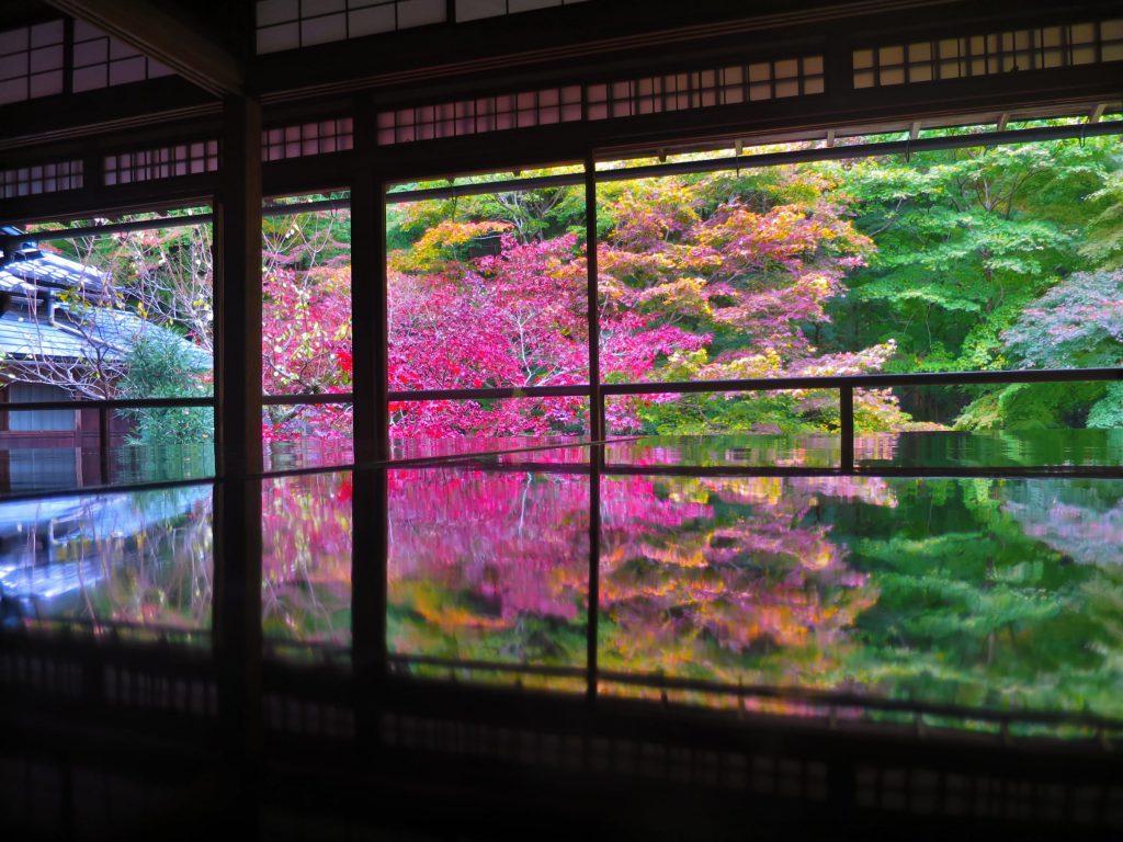 每年只開放2次！京都秋季賞楓景點：八瀨比叡山口「瑠璃光院」絕美紅葉窗景