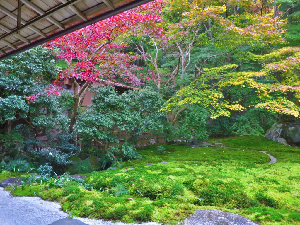 每年只開放2次 京都秋季賞楓景點 八瀨比叡山口 瑠璃光院 絕美紅葉窗景 日和hiyori