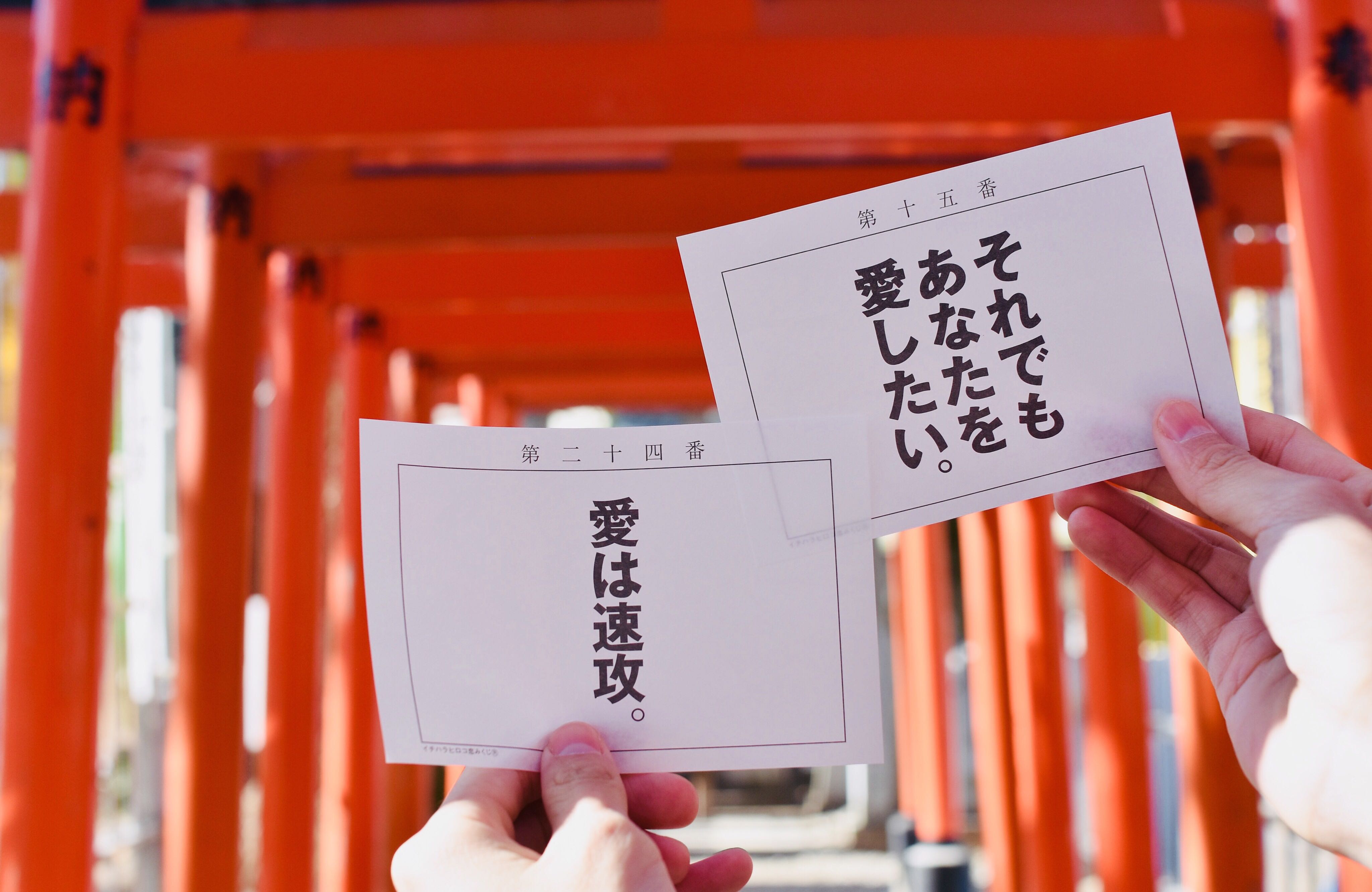 祈求戀愛運勢！實際走訪大阪「布忍神社」直白戀愛御神籤