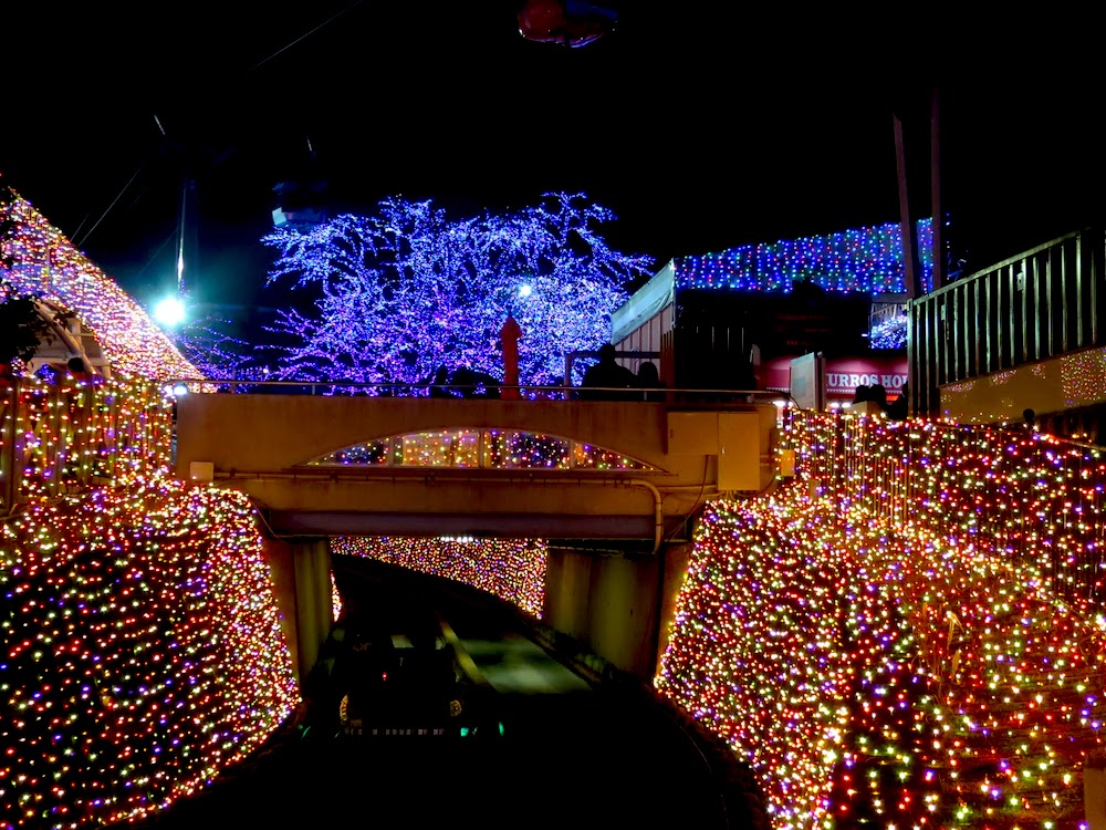 【2019東京點燈】再冷也想出門！都內及近郊閃亮冬季燈飾17選推薦