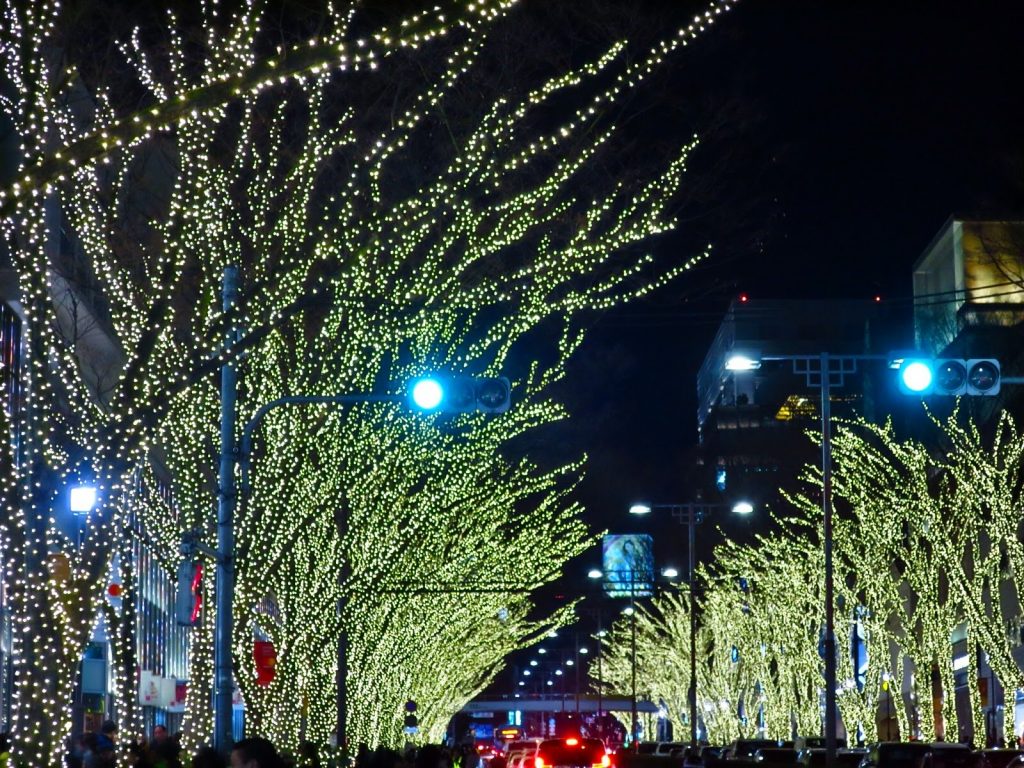 【2019東京點燈】再冷也想出門！都內及近郊閃亮冬季燈飾17選推薦 表參道Illumination 2019