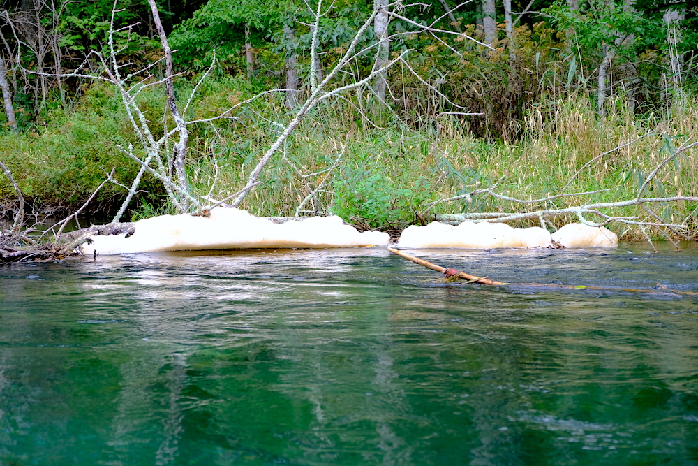 北海道採訪日記：「釧路川源流獨木舟」初體驗，觀覽屈斜路湖自然美景