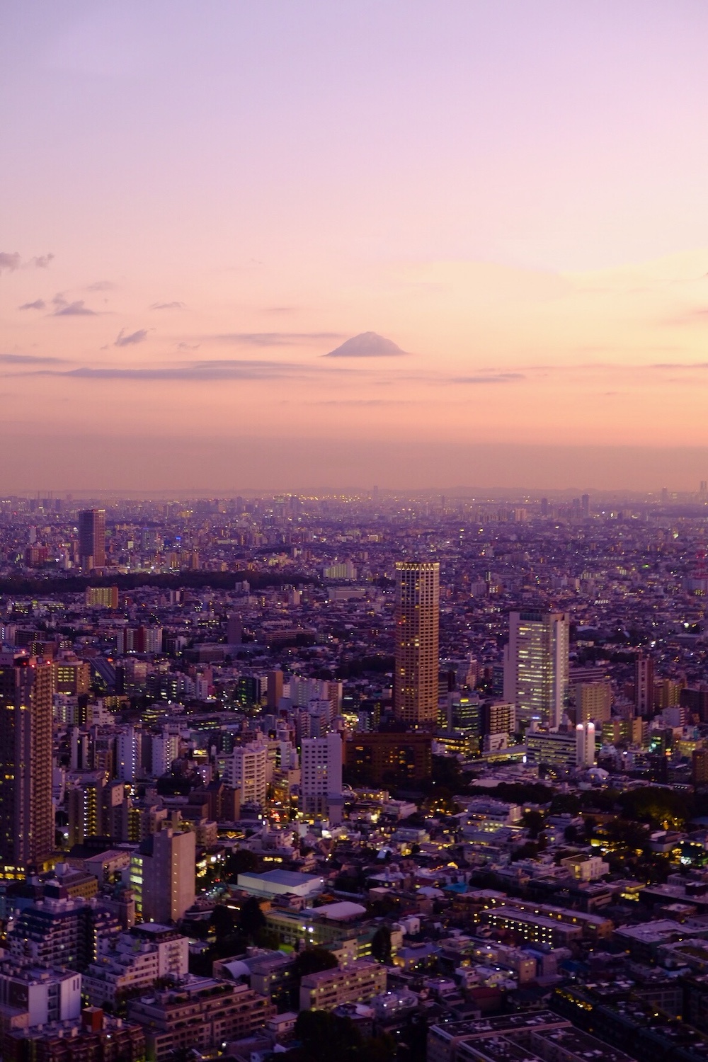 實際走訪！東京澀谷新地標「SHIBUYA SKY」，360度絕美露天展望台