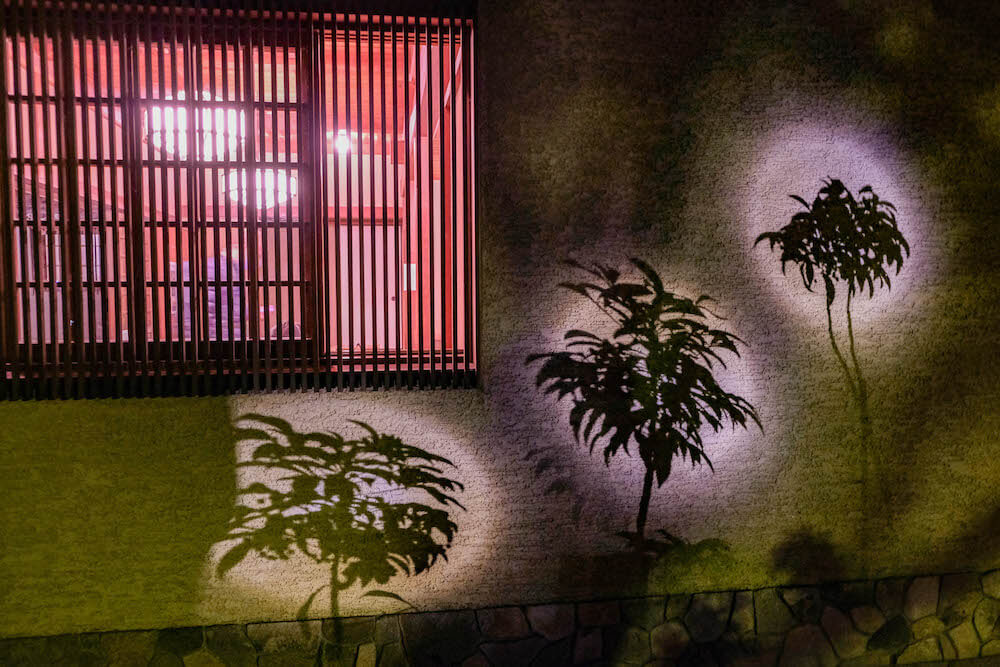 東京免費私藏賞楓．銀杏景點：荻窪「大田黑公園」2020夜間點燈