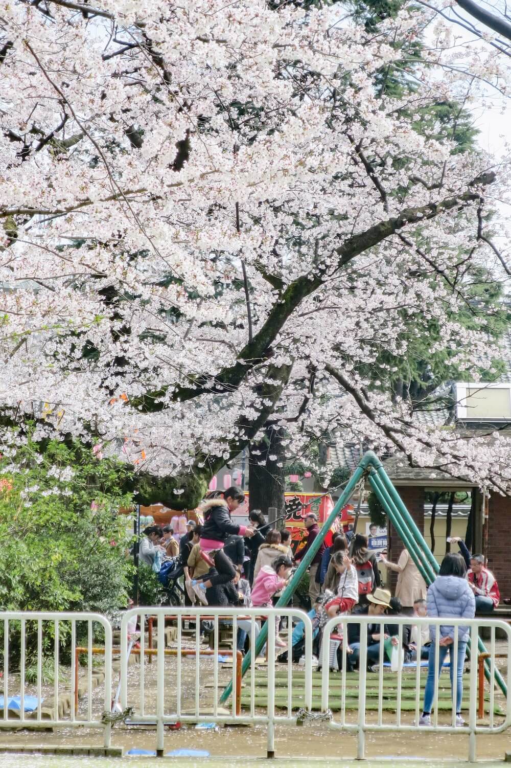 中野 新井藥師公園 春季祭典