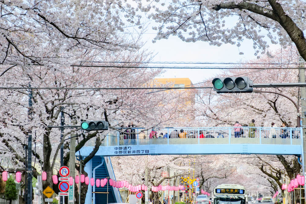中野天橋 拍攝黃色路面電車