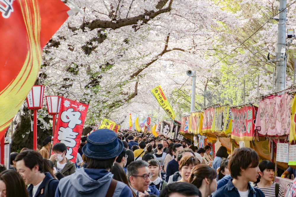 日本櫻花名所百選・埼玉「熊谷櫻堤」春季櫻花祭典