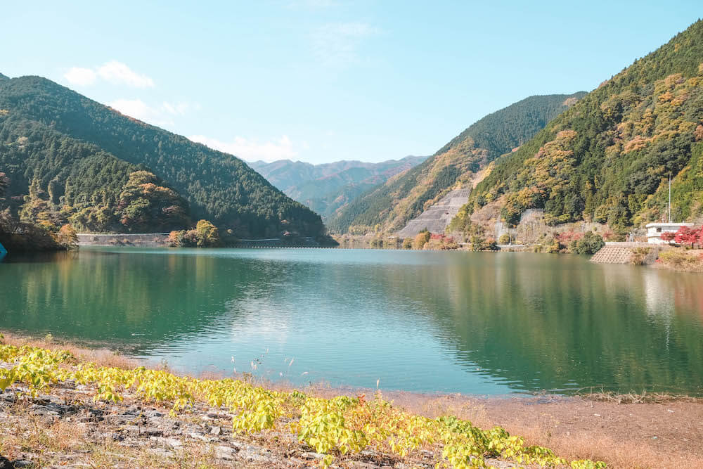 埼玉飯能 名栗湖紅葉 自駕近郊小旅行 最美的水壩沿景 日和hiyori