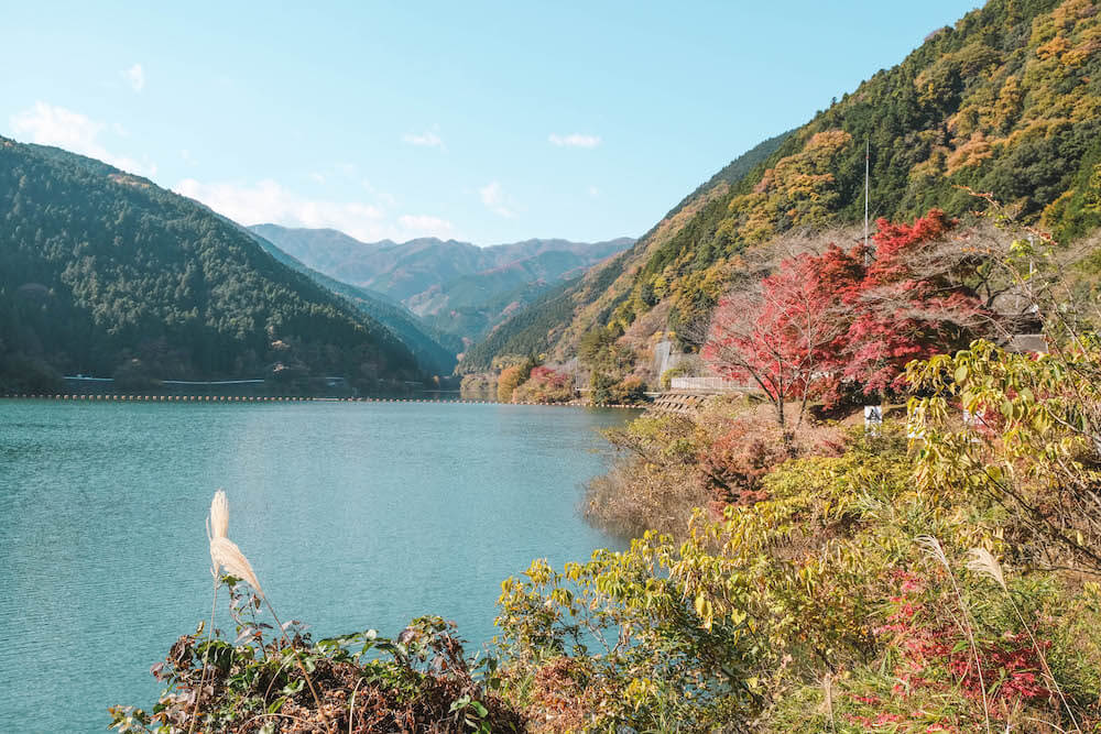 埼玉飯能 名栗湖紅葉 自駕近郊小旅行 最美的水壩沿景 日和hiyori