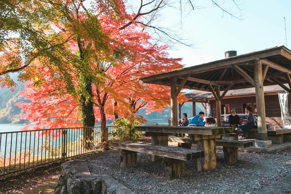 埼玉飯能 名栗湖紅葉 自駕近郊小旅行 最美的水壩沿景 日和hiyori