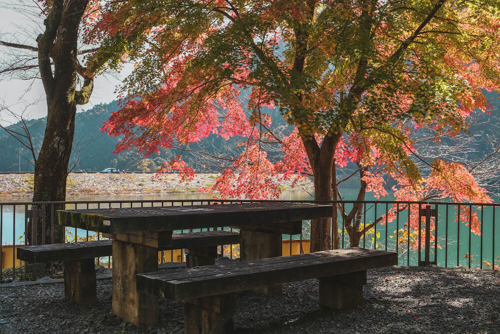 埼玉飯能 名栗湖紅葉 自駕近郊小旅行 最美的水壩沿景 日和hiyori