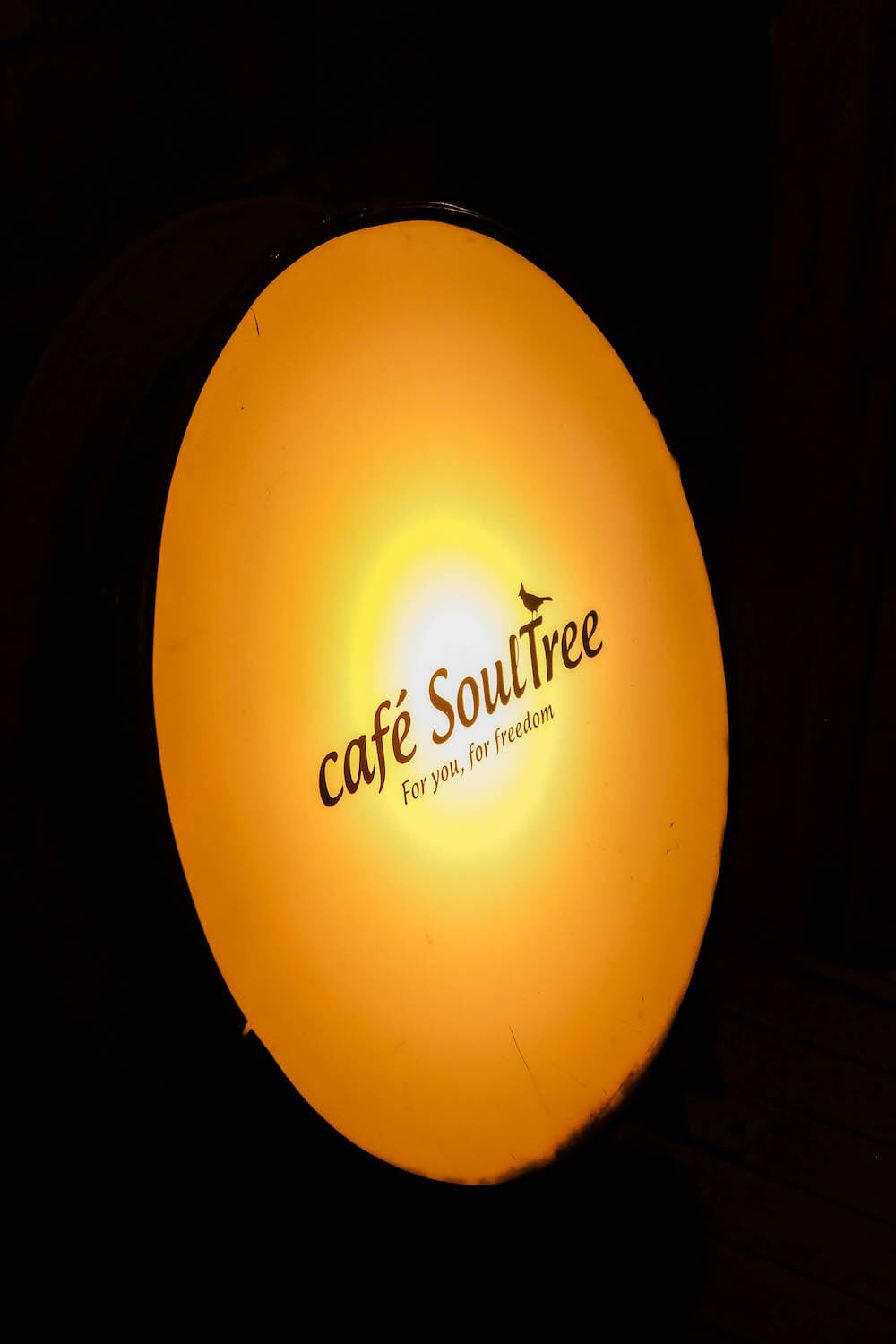 日劇《寵女青春白皮書》取景地：二子玉川「Cafe Soul Tree」倉庫咖啡