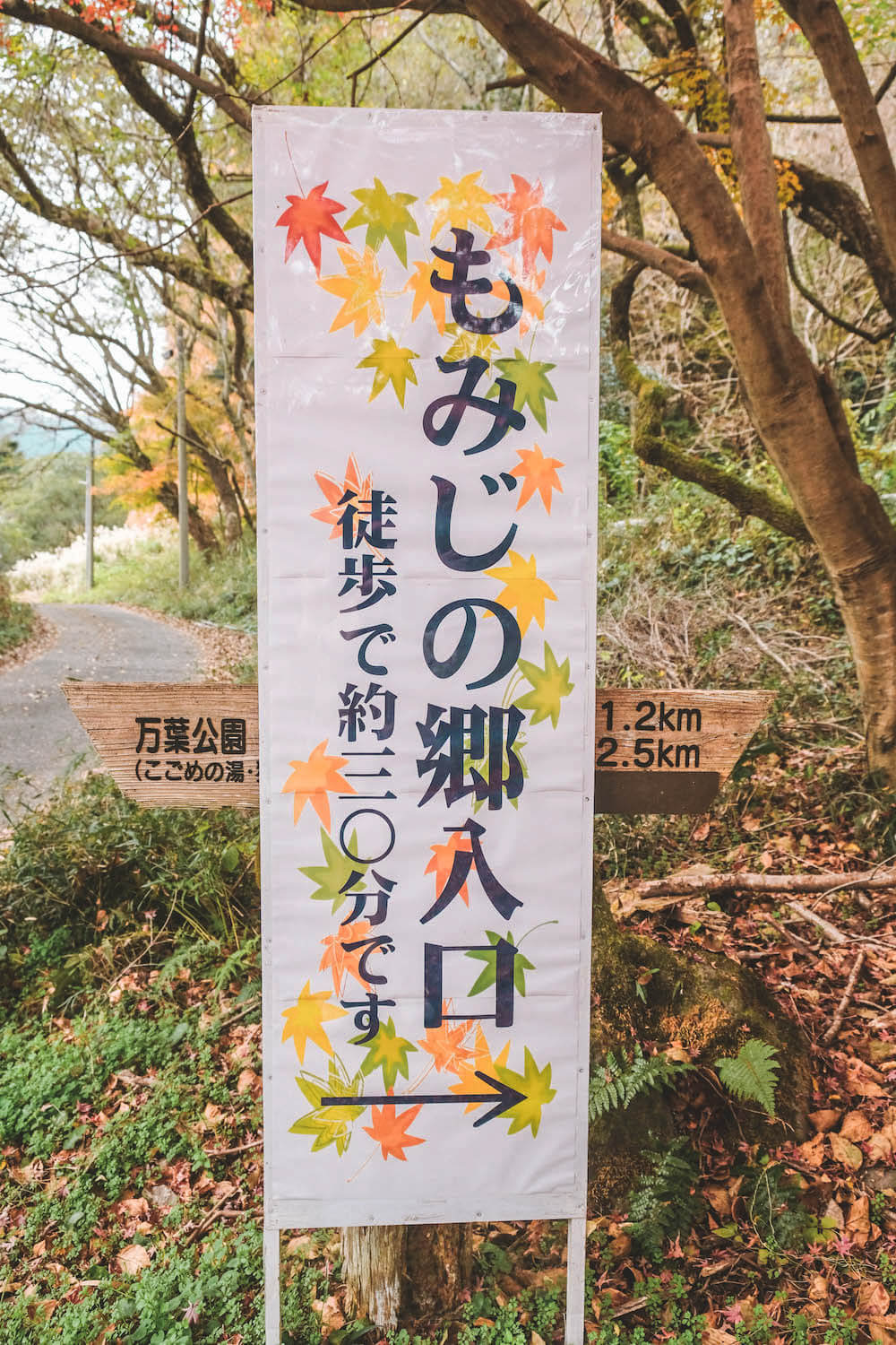 神奈川小旅行・湯河原溫泉「池峯もみじの郷」，走訪540棵晚秋楓紅美景