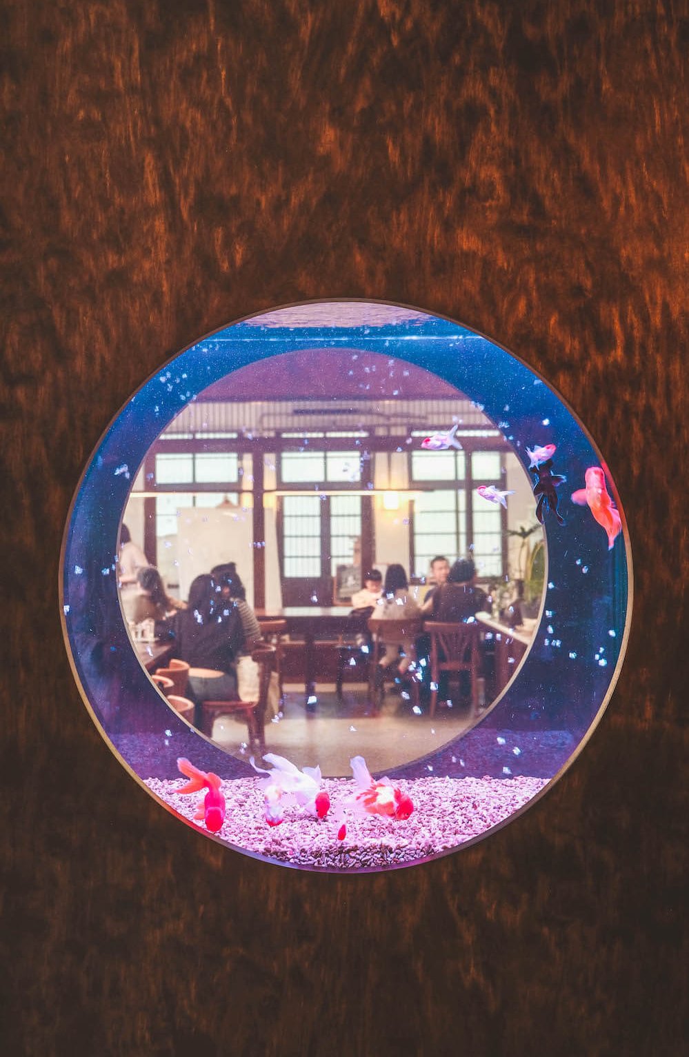南港咖啡廳 獨立畫室空間 玉虫画室 日系金魚裝置藝術 不限時質感閱讀繪畫空間 日和hiyori