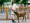 宜蘭景點・斑比山丘Bambi Land:迷你版奈良公園,療癒小鹿斑比&迷你驢零距離互動