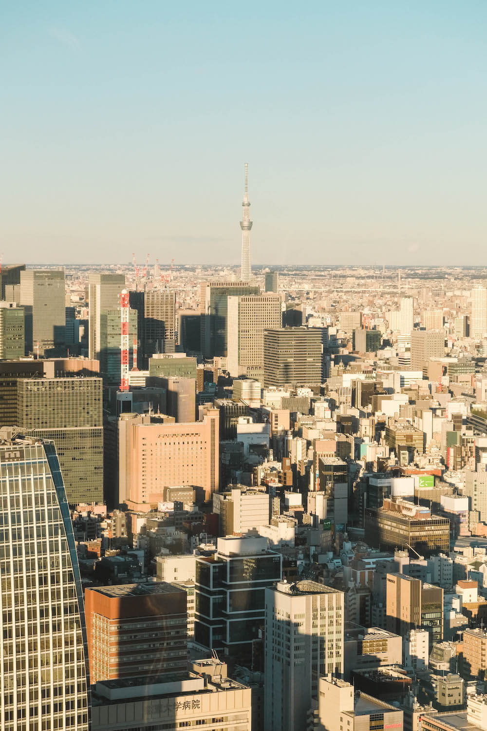 東京鐵塔Top Deck 250m特別展望台27