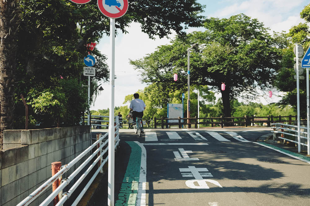 日劇 持續可能的戀愛 父親與女兒的結婚進行曲 公園森林浴約會取景地 金町水元公園 水杉森林 日和hiyori
