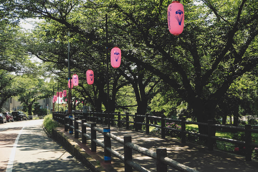 日劇 持續可能的戀愛 父親與女兒的結婚進行曲 公園森林浴約會取景地 金町水元公園 水杉森林 日和hiyori