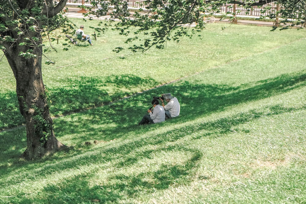 日劇《持續可能的戀愛？～父親與女兒的結婚進行曲～》山頂夕陽拍攝地：橫濱清水ヶ丘公園展望台29