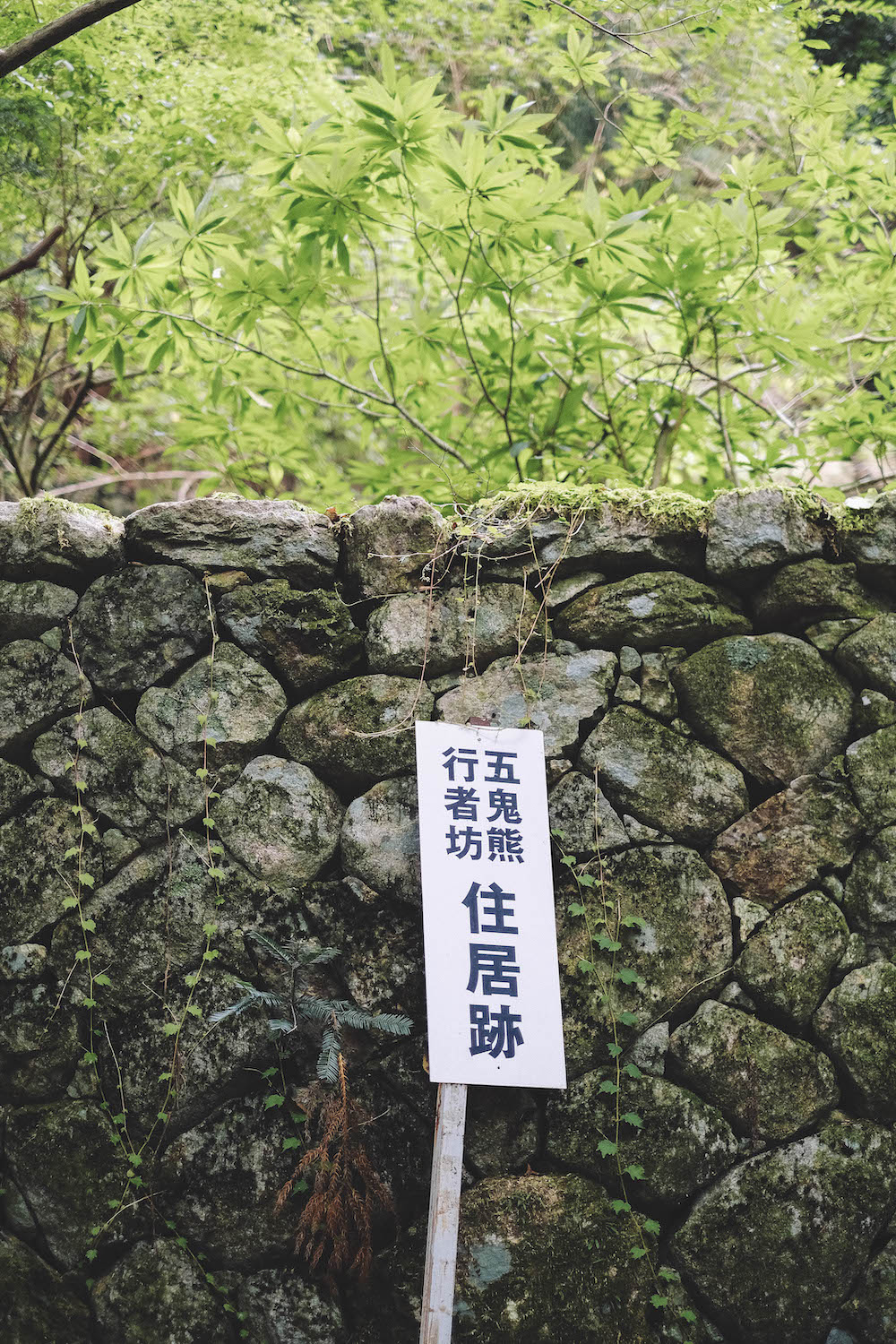 奈良採訪日記：下北山村3日遊・前鬼山集落跡深度旅行，擁抱自然療癒之旅206