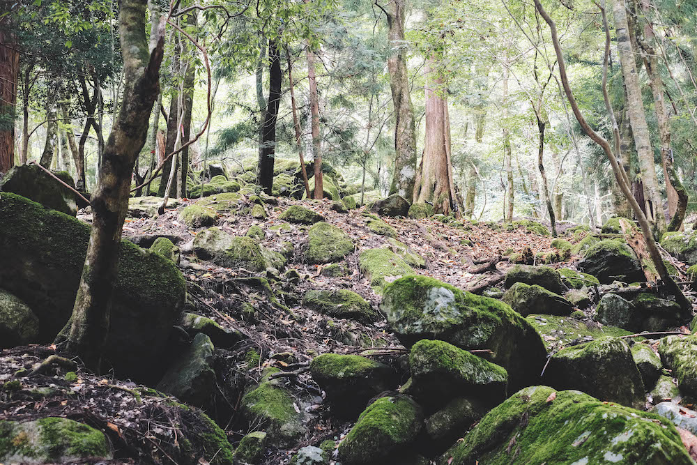 奈良採訪日記：下北山村3日遊・前鬼山集落跡深度旅行，擁抱自然療癒之旅218