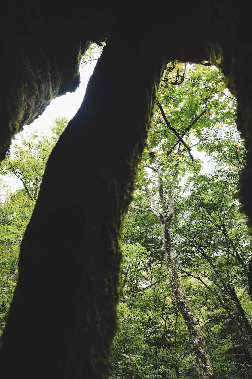 奈良採訪日記：下北山村3日遊・前鬼山集落跡深度旅行，擁抱自然療癒之旅233