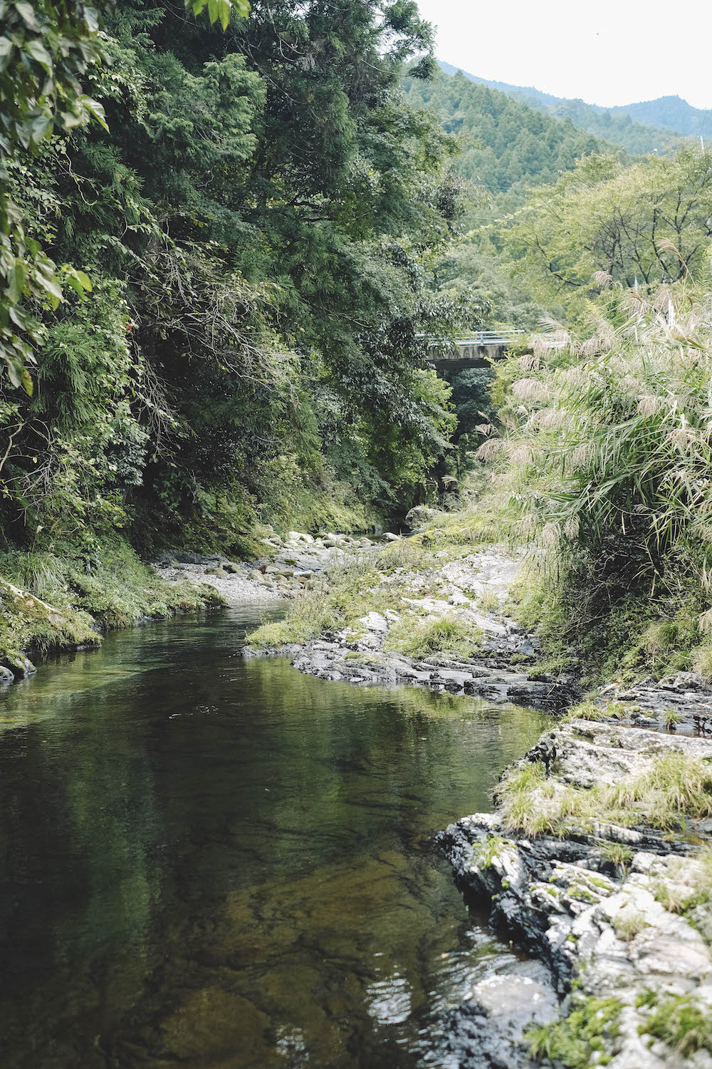 奈良採訪日記：下北山村3日遊・前鬼山集落跡深度旅行，擁抱自然療癒之旅91
