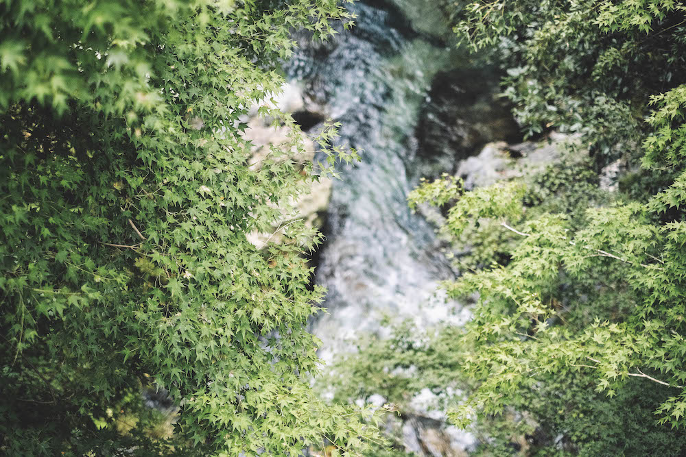 奈良採訪日記：下北山村3日遊・前鬼山集落跡深度旅行，擁抱自然療癒之旅99
