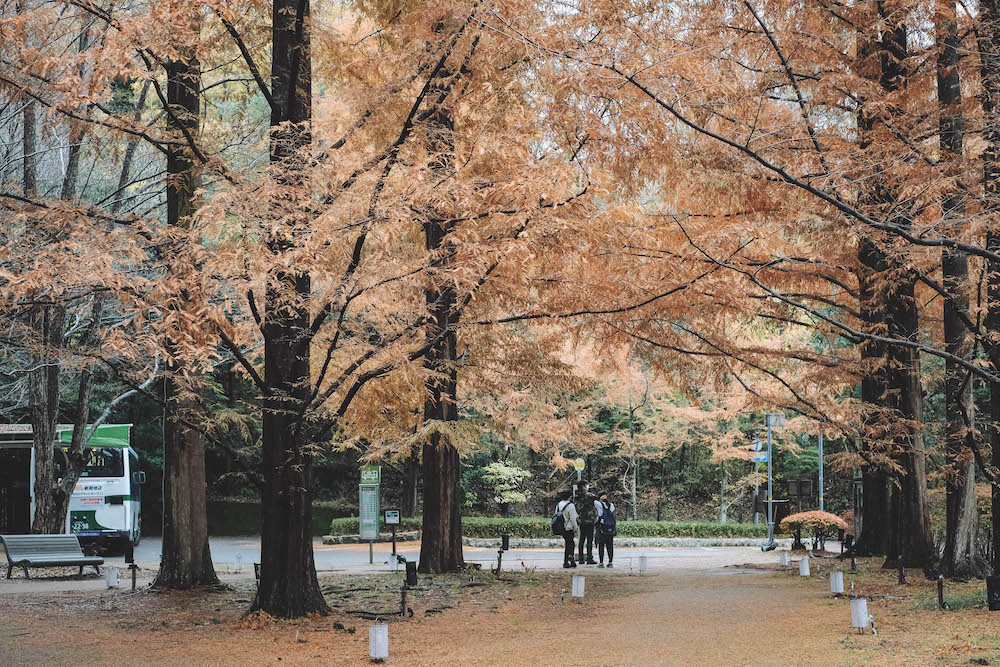 神戶市立森林植物園10
