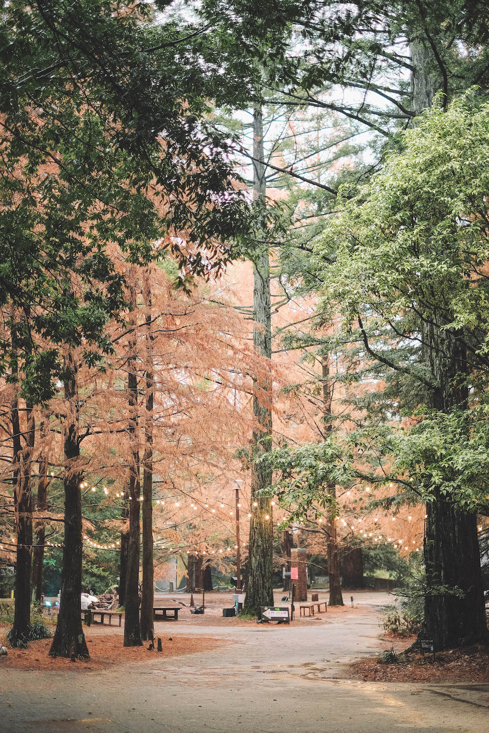 神戶市立森林植物園139