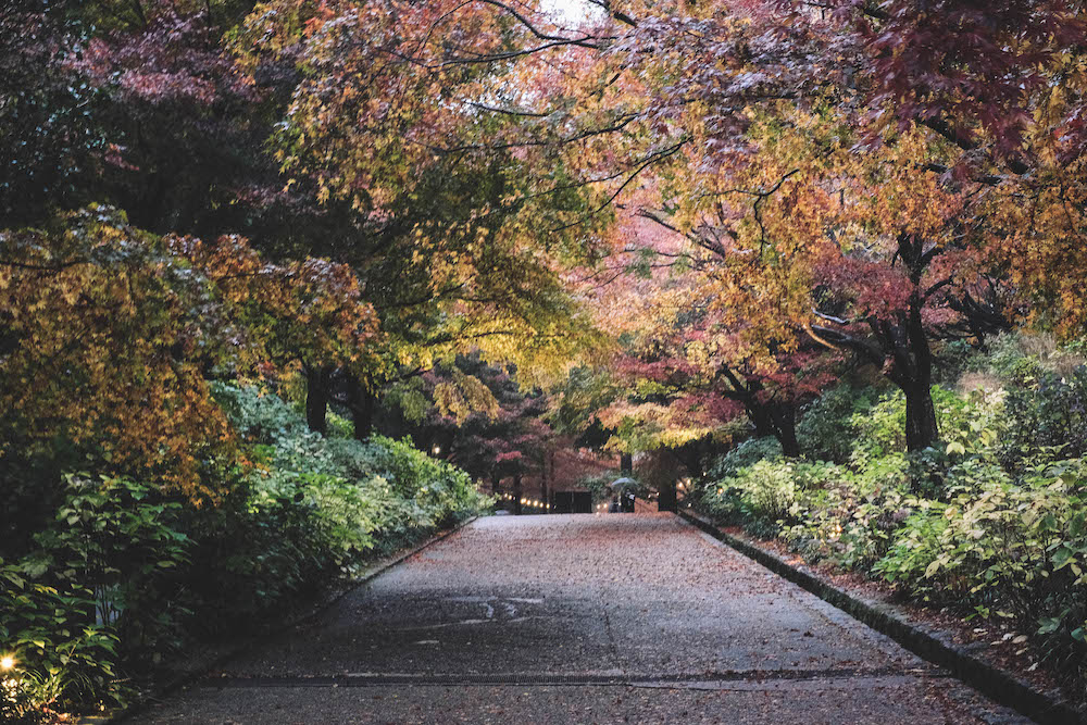 神戶市立森林植物園144