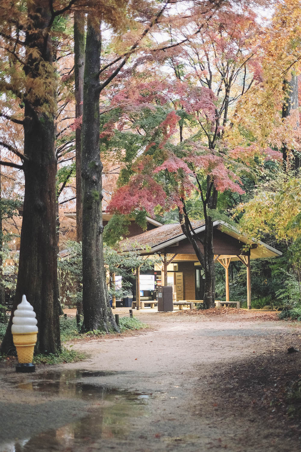 神戶市立森林植物園145
