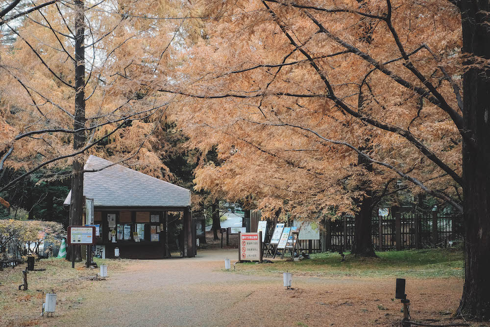 神戶市立森林植物園7