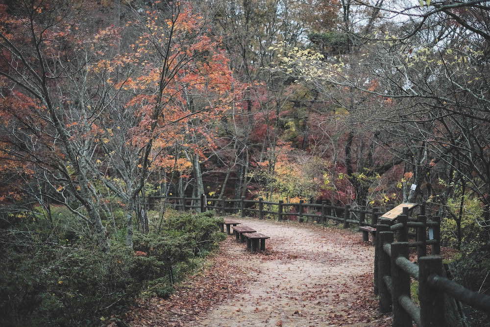 神戶市立森林植物園110