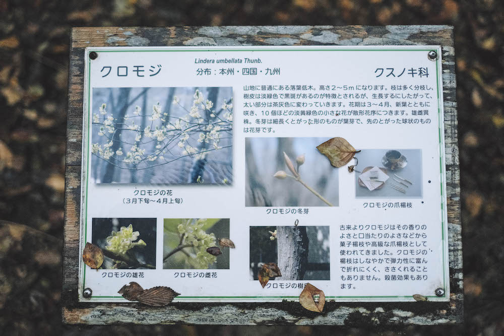 神戶市立森林植物園126
