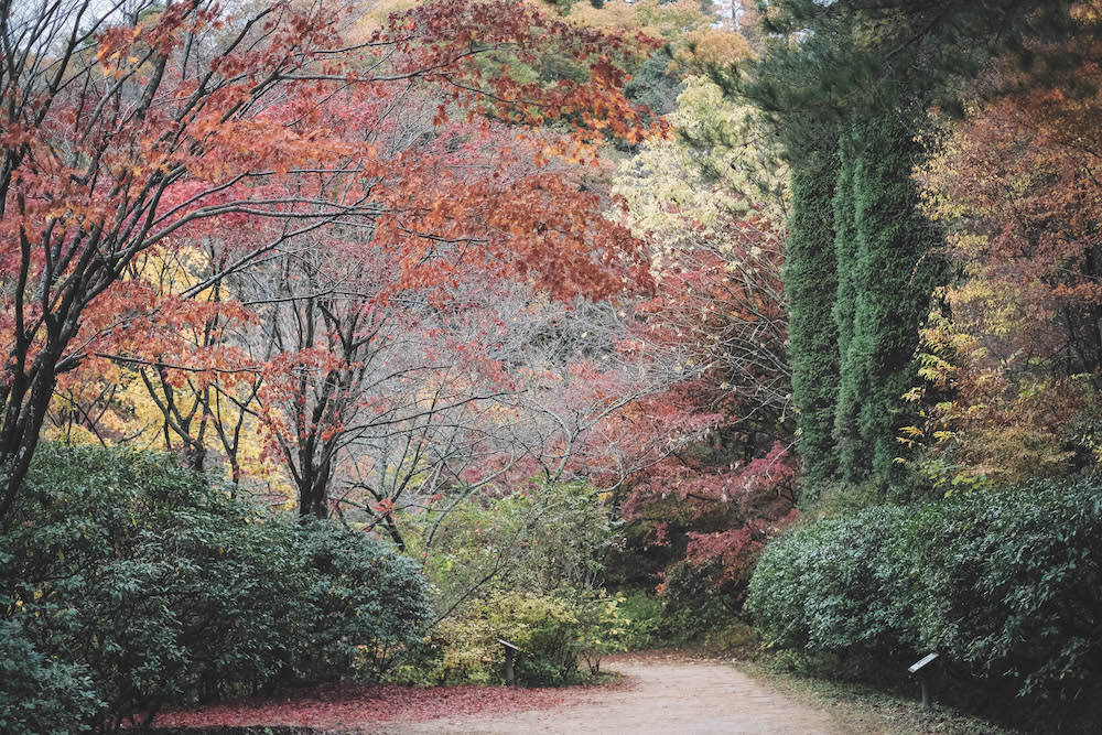 神戶市立森林植物園68