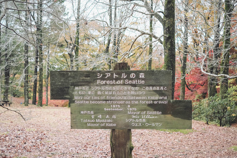 神戶市立森林植物園70