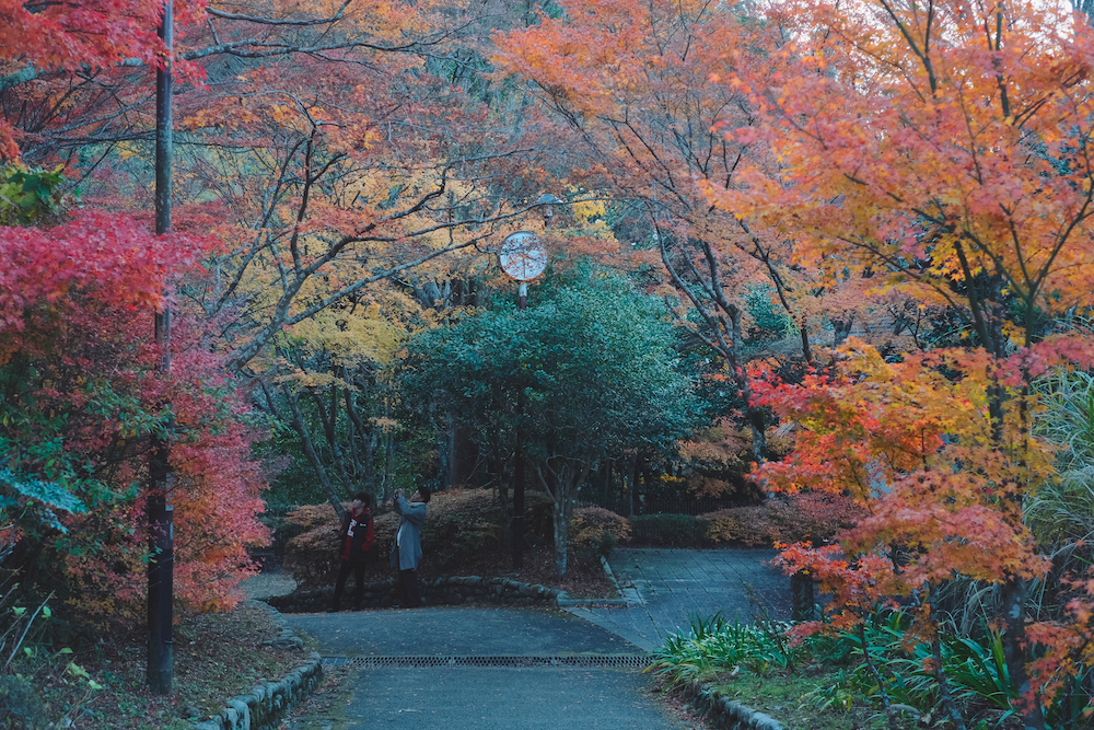 神戶・瑞寶寺公園：深秋的有馬溫泉，在もみじ茶屋享用糰子抹茶愜意賞楓