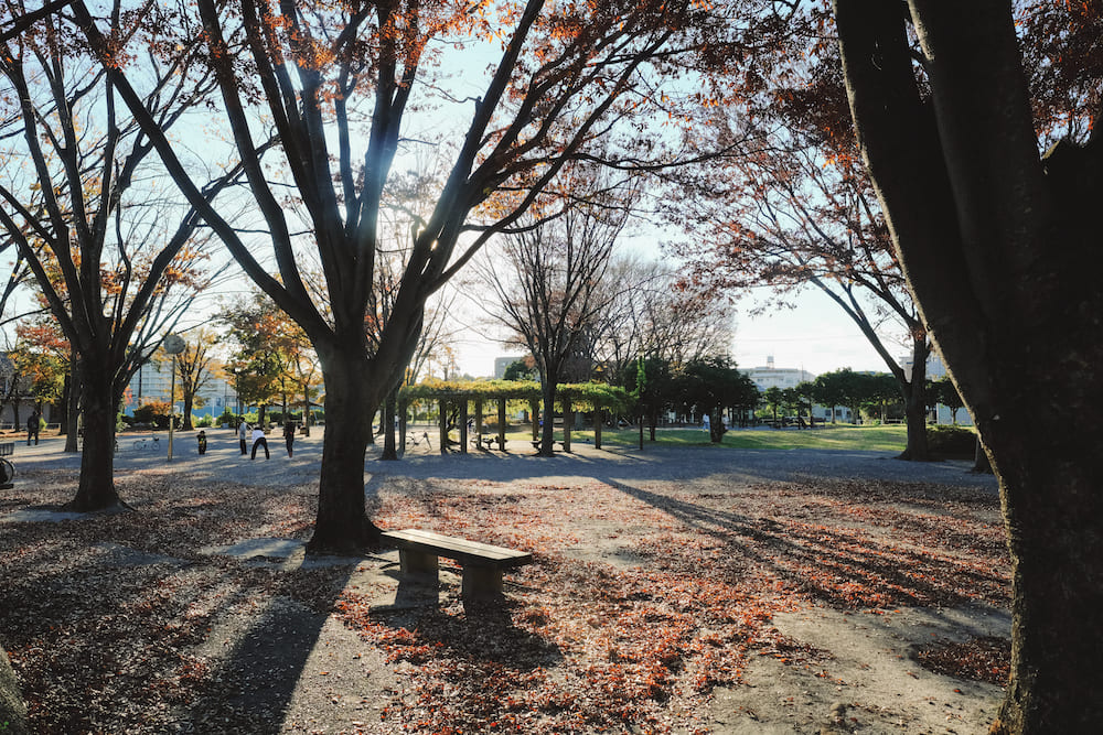 日劇《別穿越了戀人們》公園取景地實訪，秋季千葉縣「天王台西公園」踩點日記