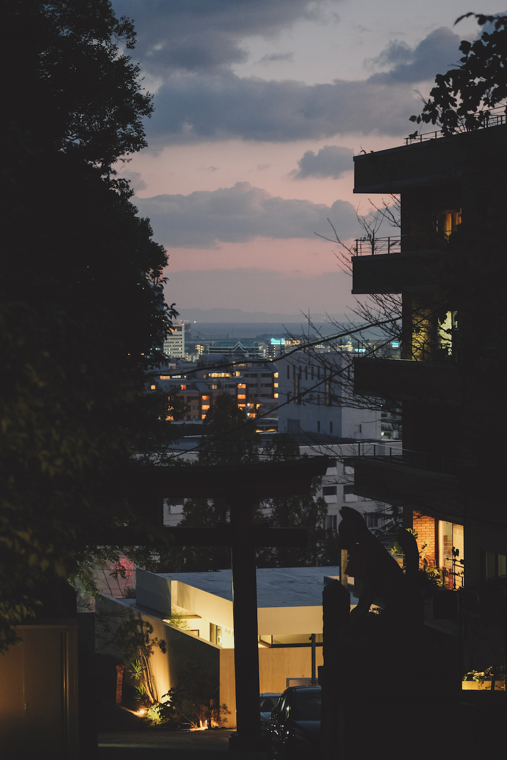 神戶「維納斯橋」：諏訪山公園私藏免費展望台，眺望神戶塔夕陽＆海港夜景57