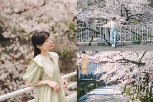 神戶櫻花完全保存版｜市區＆近郊賞櫻景點，在地人才知道的追櫻路線