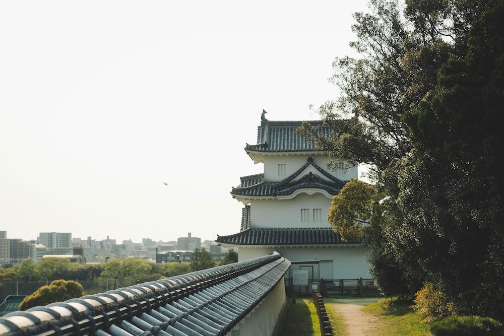 2025明石公園 櫻花8