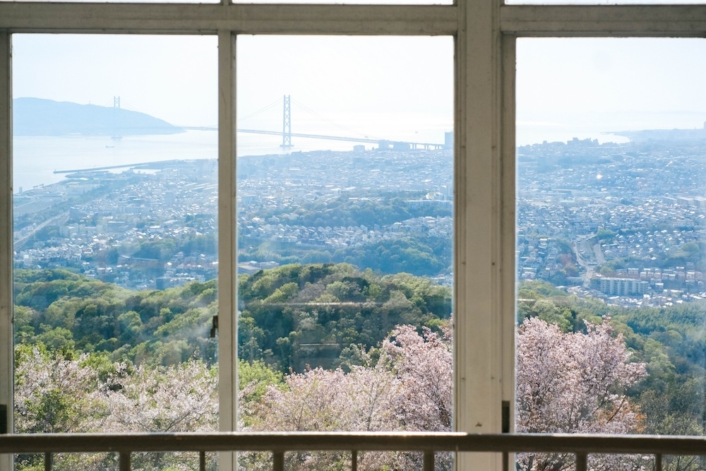 神戶須磨浦山上遊園 櫻花10