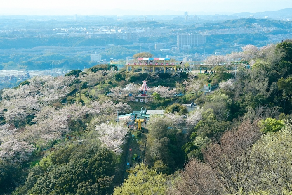 神戶須磨浦山上遊園 櫻花26