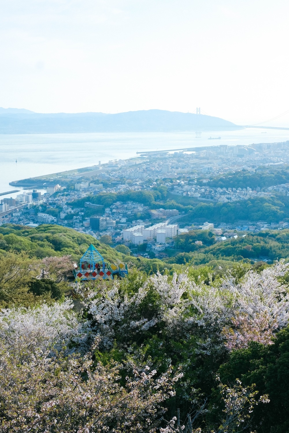 神戶須磨浦山上遊園 櫻花47