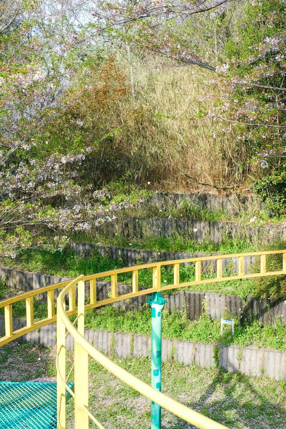 神戶須磨浦山上遊園｜春季櫻花林、復古旋轉喫茶店、黃昏下踩單軌腳踏車，眺望明石海峽大橋