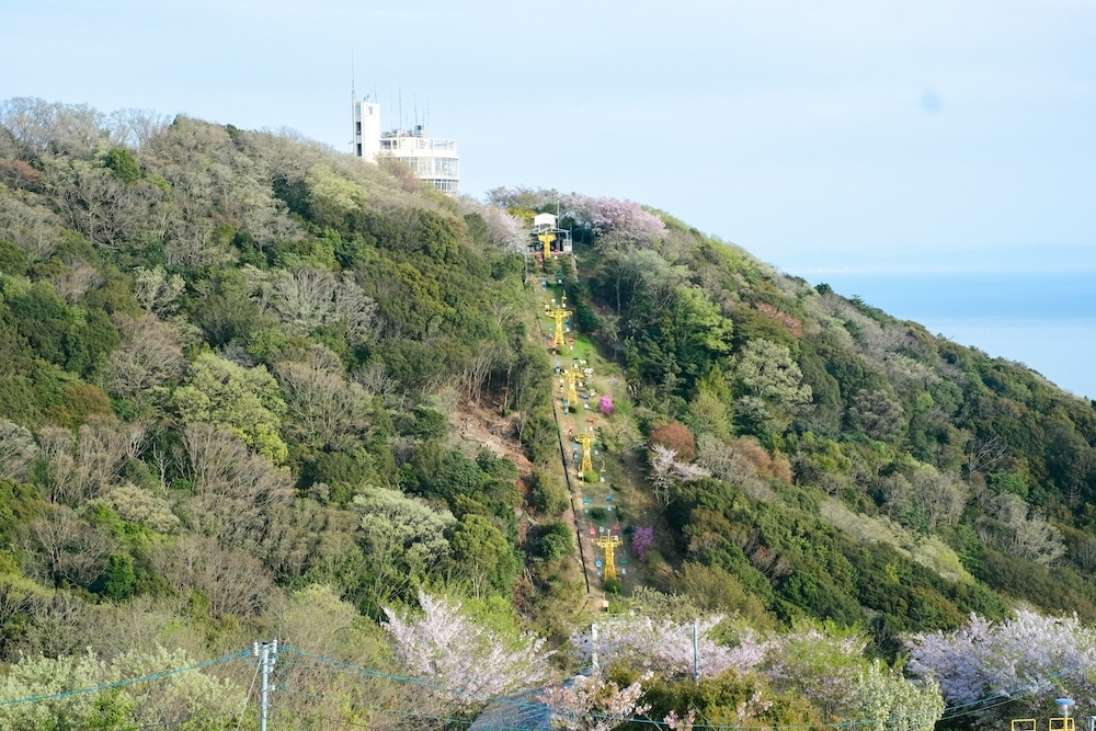 神戶須磨浦山上遊園｜春季櫻花林、復古旋轉喫茶店、黃昏下踩單軌腳踏車，眺望明石海峽大橋