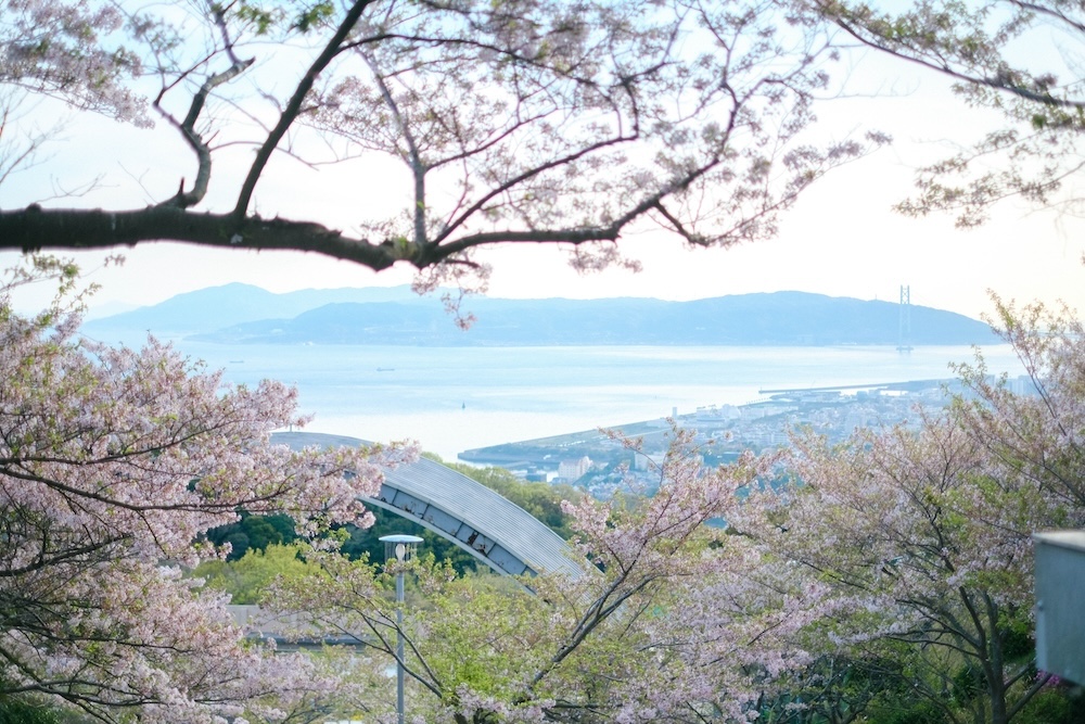 神戶須磨浦山上遊園｜春季櫻花林、復古旋轉喫茶店、黃昏下踩單軌腳踏車，眺望明石海峽大橋